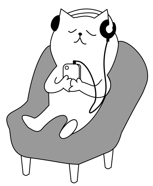 headphones ico 